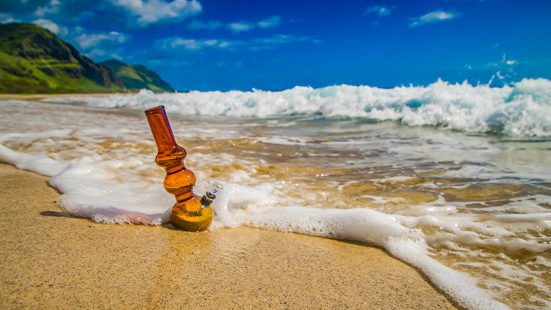 dazedcannabis-about-us-header dazedcannabis-about-us-header